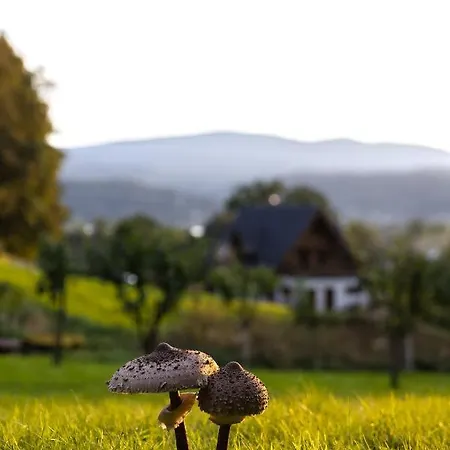 Appartement Z Widokiem Na Gory W Marczycach Marczyce