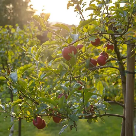 Appartement Z Widokiem Na Gory W Marczycach *